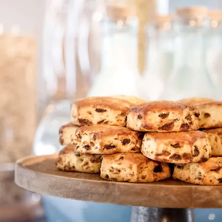 فندق Novotel Bordeaux 4*